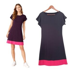 Icebreaker Merino Wool T-Shirt Dress Shift Small Colorblock Travel Minimalist